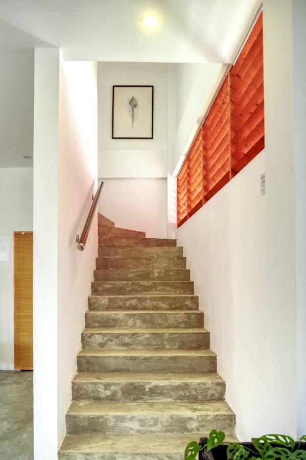 Island Ambience Hotel Maafushi Exterior foto